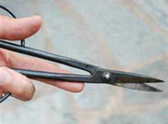 Đã bắt được nam sinh THCS giết hàng xóm