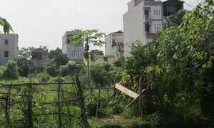 Dự án cù nhầy: Tiếng kêu cứu rơi vào im lặng đáng sợ