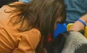 Thua cược với sinh viên, hiệu trưởng hôn lợn