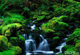 Phong Thủy đúng cách hôn nhân bền lâu