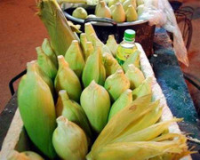 Bắp luộc vỉa hè, người bán không dám ăn