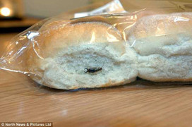 Phát hiện sâu chết trong ổ bánh mì