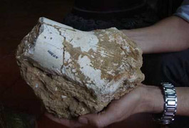 Hang động chứa kho xương cổ khổng lồ