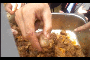 Thịt gà có dòi trong bữa cơm trưa