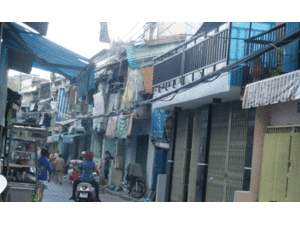 Chuột 'ngủ chung' với người giữa Sài Gòn