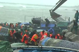 Không liên lạc được khi có bão, Giám đốc Sở bị kỷ luật