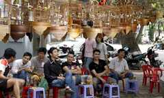 Đại gia Hà thành bỏ tiền 'khủng' chơi chim