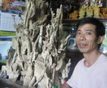 Sự thật về cây hóa thạch 3 triệu USD ở Thanh Hóa