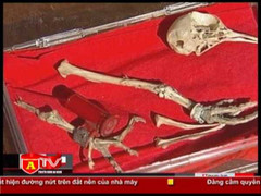 Phát hiện về bồ câu đưa thư thời Thế chiến thứ II