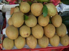 Hồng xiêm đẹp mã chứa bột sắt gây hại