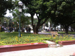 Hà Nội: Xác định nguyên nhân cụ bà chết ở vườn hoa