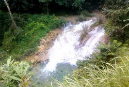 Hóa giải trần trụi cây đá triệu USD tại thác Hiêu