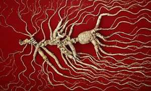 Được bồi thường sau khi mua thực phẩm chức năng rởm