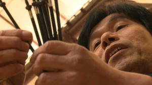 Ninja cuối cùng của đất nước hoa anh đào