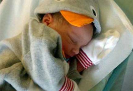 Thương tâm bé 8 ngày tuổi bị chó cắn chết