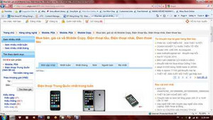 Thương mại điện tử: Công khai bán hàng giả