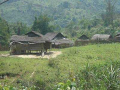 Hàng chục thanh niên bỗng điên loạn, quanh năm gào thét