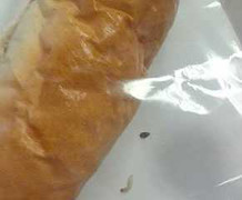 Sâu bò lổm ngổm trong bánh mỳ sandwich