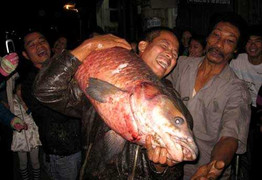 Đua sắm lưới săn 