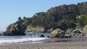 Cứu chó, bố mẹ chết, con mất tích