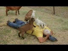 Massage miễn phí siêu độc