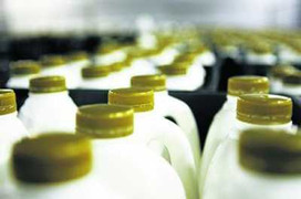 Cảnh báo về sữa nhiễm khuẩn