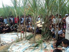 Bắt kẻ sát hại nữ sinh trong vườn mía