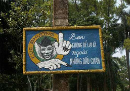 Cúc Phương ngày nắng