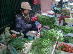 Trời lạnh, giá rau xanh tăng vọt