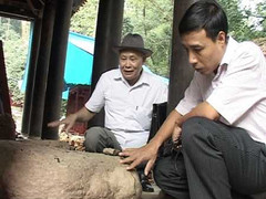 Giải mã lời thề trên phiến đá cổ nghìn năm tại Đền Hùng