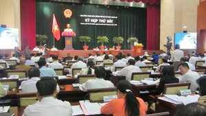 Đại biểu TP.HCM chất vấn ngành công an về cướp giật