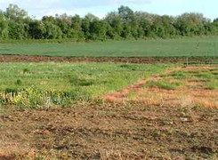 Hà Nội tăng giá đất ở nhiều huyện ngoại thành