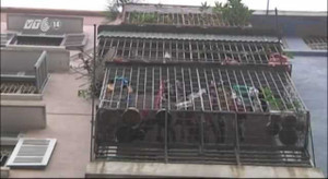 Hà Nội: Bùng phát 'chuồng cọp' tại các khu chung cư