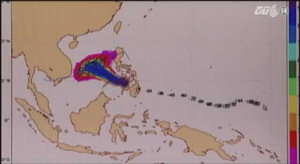 Siêu bão Bopha đang trên biển Đông nguy hiểm thế nào?