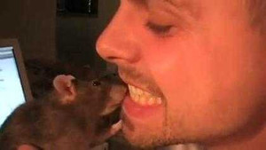 Cách vệ sinh răng kinh dị chưa từng thấy