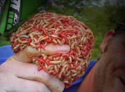 Nằm trong quan tài, nghe nhạc để chữa bệnh