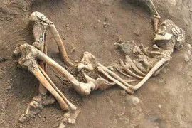 Thực hư bộ xương 200 năm vẫn rỉ máu ở Nam Định