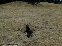 Chấn động: Sợi ngụy trang giúp binh lính tàng hình