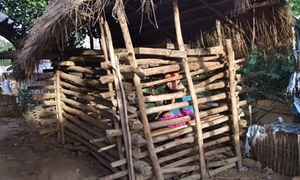 Một cô gái bị nhốt trong cũi suốt ba năm