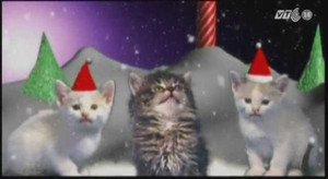 Dàn đồng ca mèo phát hành clip giáng sinh siêu 'hot'