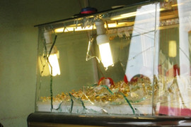 Táo tợn trộm vàng, kim cương giữa Thủ đô