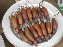 'Xâm nhập' chợ chuột độc nhất Hà thành