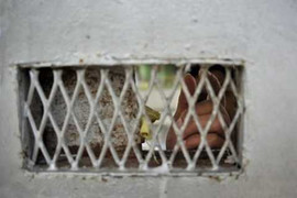 Tham nhũng ở Bali: Trong tù sướng như vua