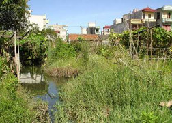 Những dự án 'tai tiếng' nhất năm 2012