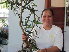 “Thần dược” chữa 5 bệnh ung thư gây xôn xao dư luận