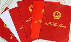 Bắt giám đốc Văn phòng đăng ký quyền sử dụng đất