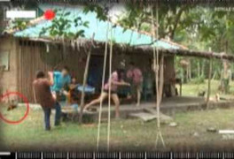 Đoàn phim bị... ong đuổi chích, phải đi cấp cứu