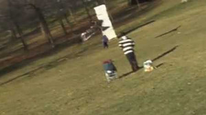 Clip Đại bàng sà xuống đất cắp 1 em bé sốt trên Youtube