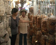 Giải đáp thắc mắc 70% dân số Việt Nam trong giây lát