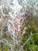 Có thể xuất hiện băng tuyết trên đỉnh Mẫu Sơn